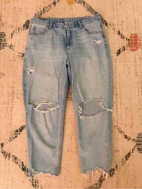 American Eagle Curvy Mom Jeans Distressed Raw Hem 14 Short